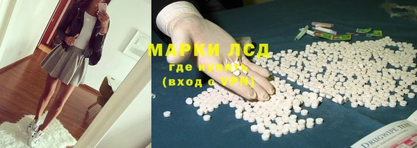 трава Белая Холуница